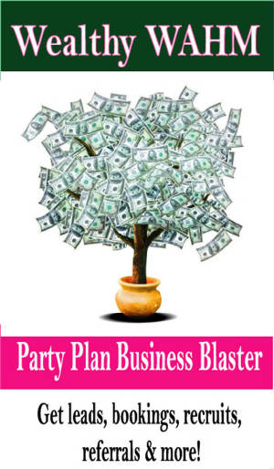 party-plan-business-blaster.jpg